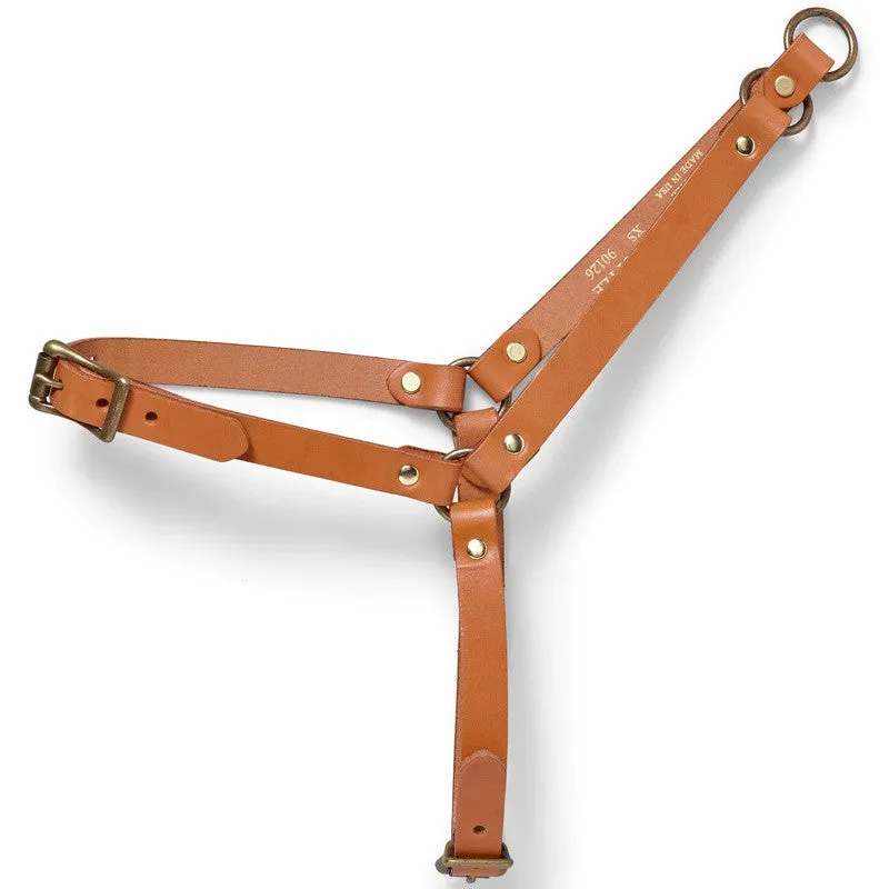 Harnais pour Chien en Cuir