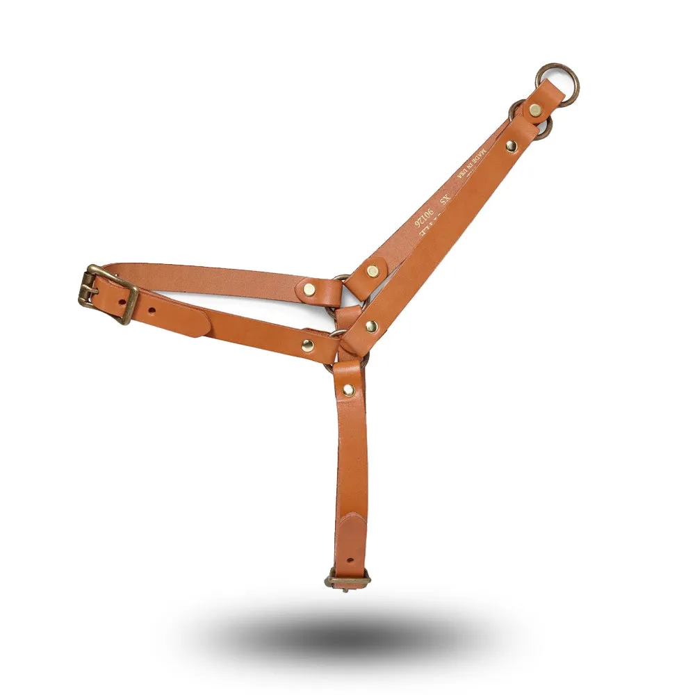 Harnais pour Chien en Cuir